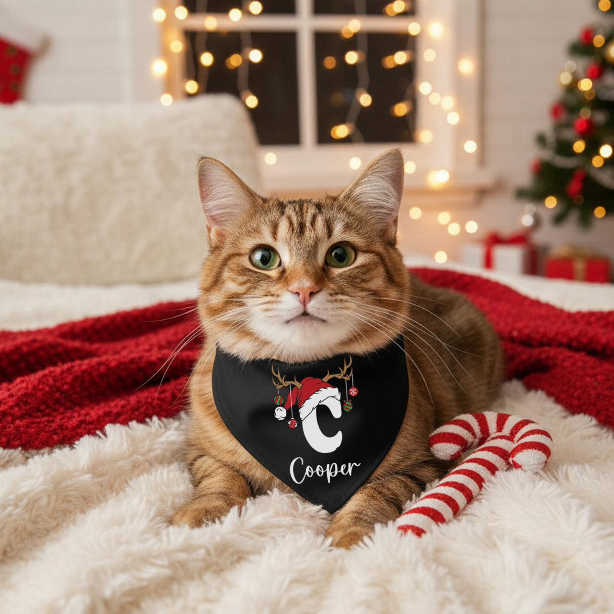 Reindeer Initial Personalized Dog Christmas Outfit with Name, Hoodies, Bandanas & Tanks, Sizes XS-3XL