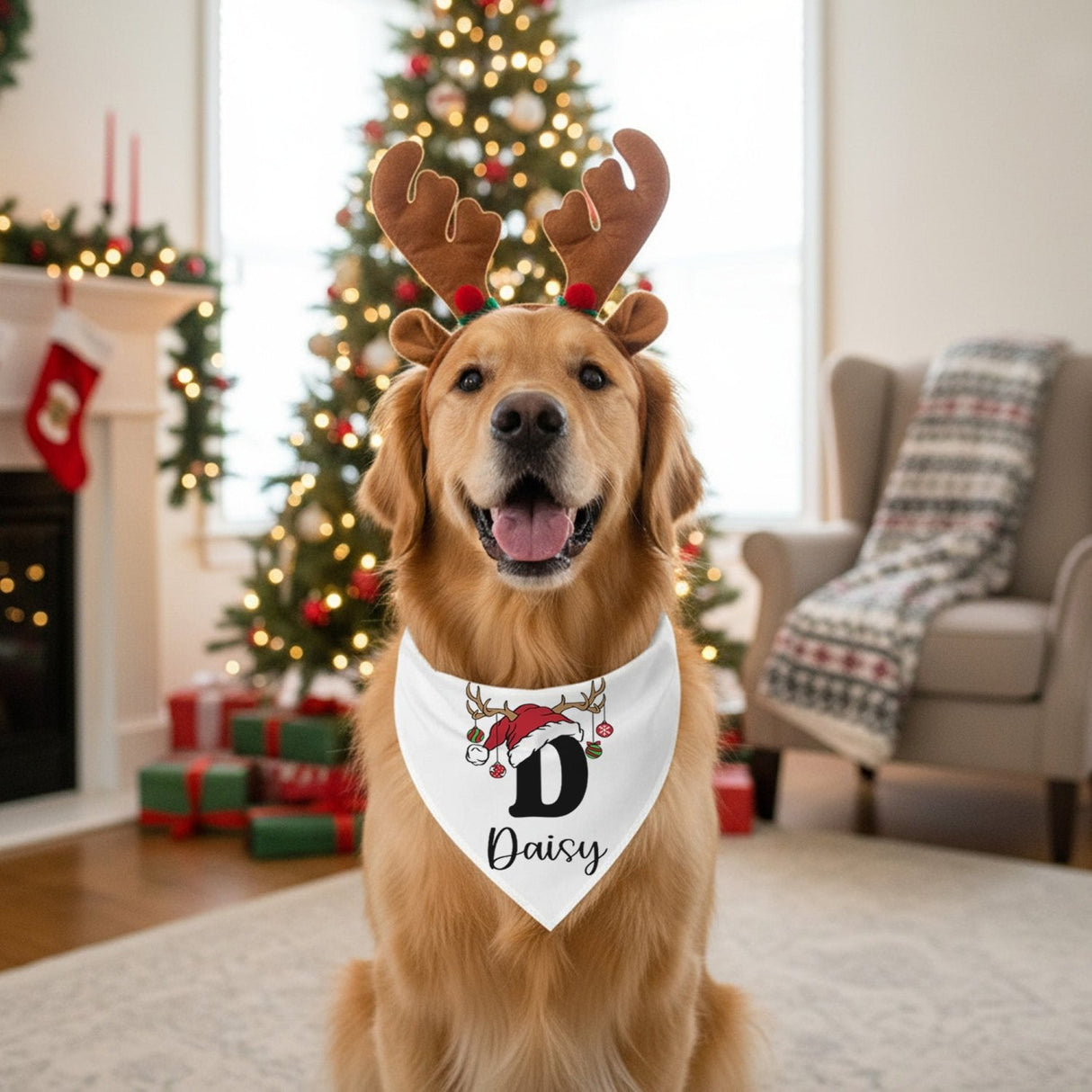 Reindeer Initial Personalized Dog Christmas Outfit, Hoodies & Bandanas, Sizes XS-3XL - Gifts Are Blue