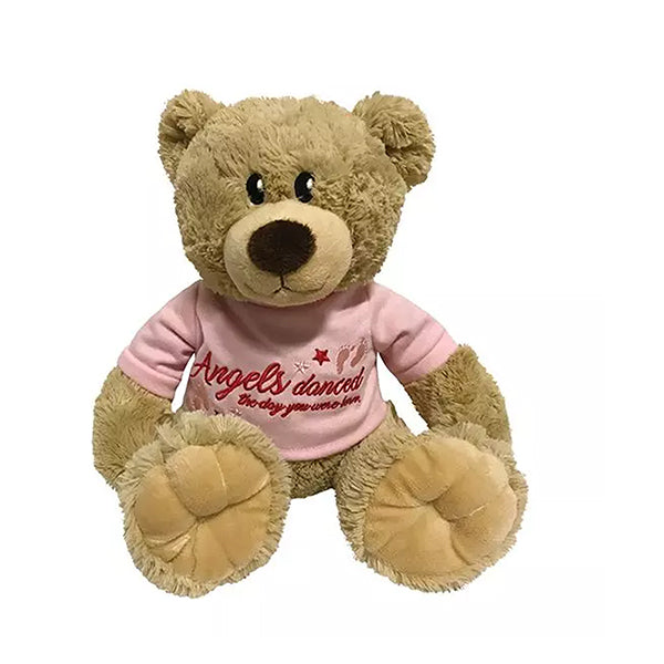 Angels Danced The Day You Were Born Teddy Bear Pink