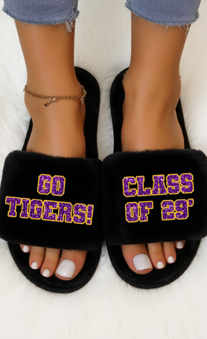 School Spirit