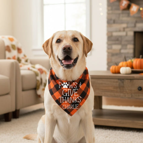 Funny Thanksgiving Sayings Personalized Cat and Dog Bandanas with Name - Gifts Are Blue
