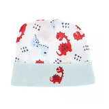 10 Pack Baby Gift Set for Newborn Boy - Baby Shower Gift - Beanie Hat