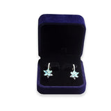 Luoteemi Womens Earrings Flower Sky Blue-jewelry-box